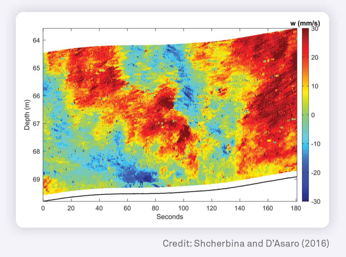 06 signature brochure 20259
