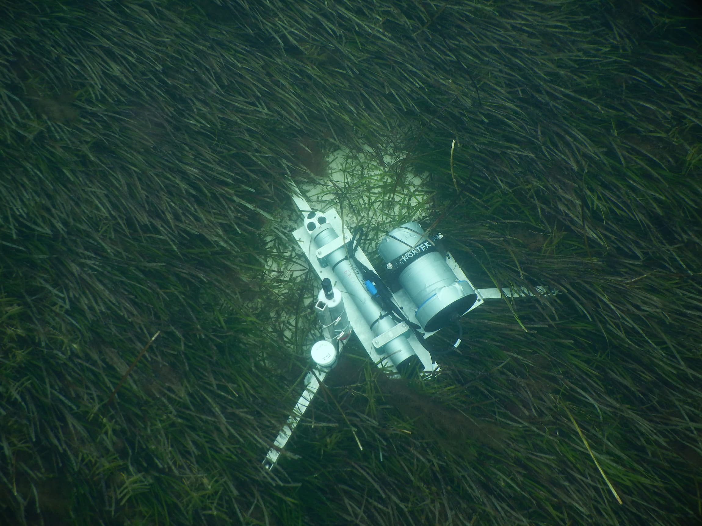 Aquadopp profiler Nortek 3