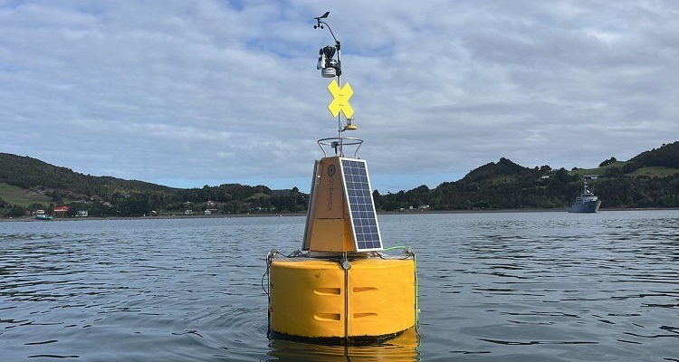 INNOVEX Buoy Sig250