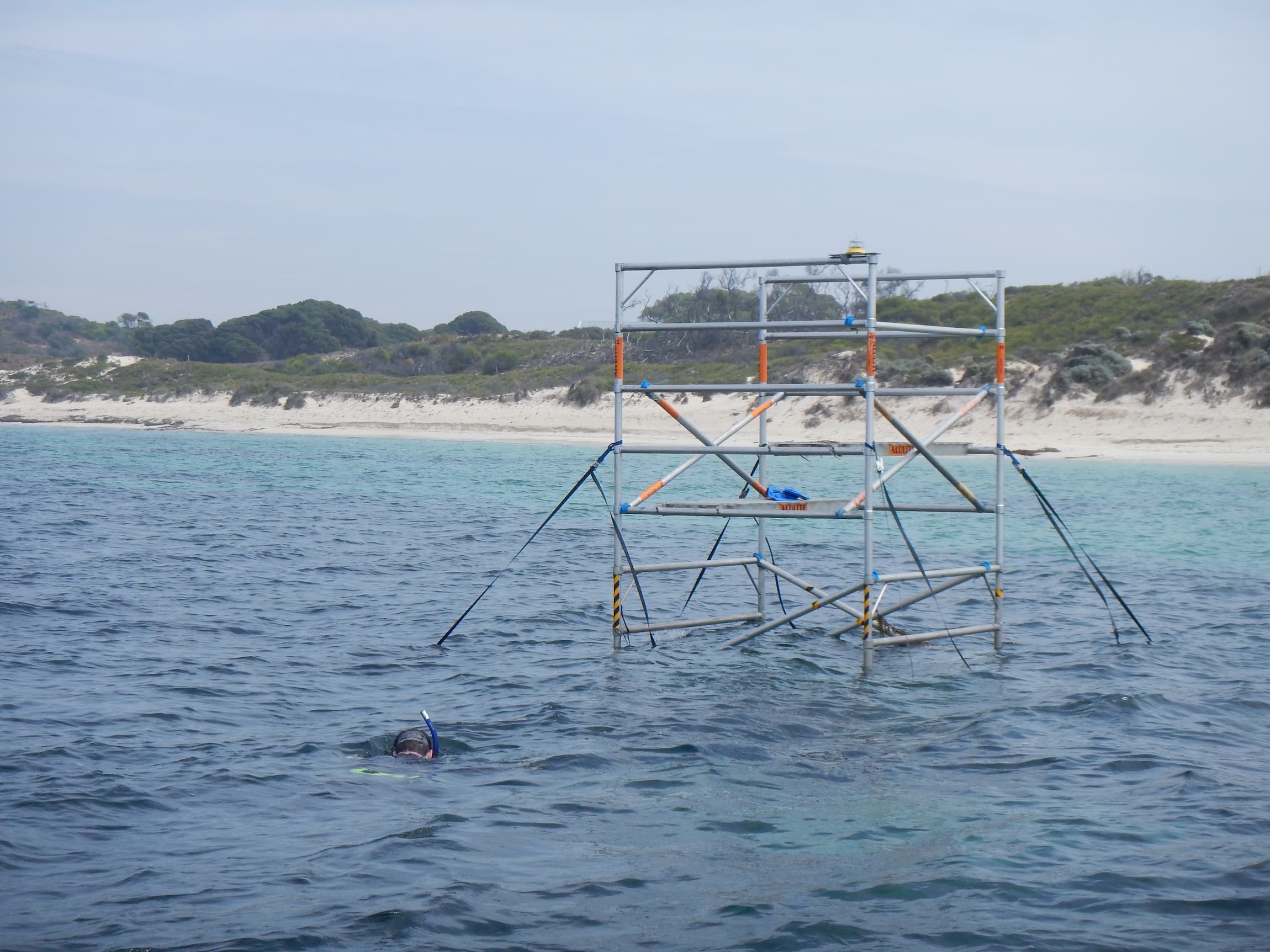 Rottnest Australia 6