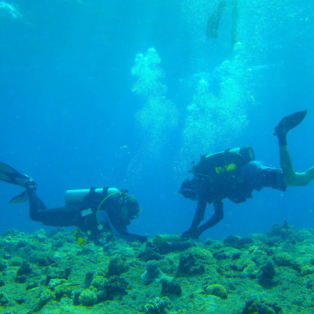 Nortek 30097906539 2